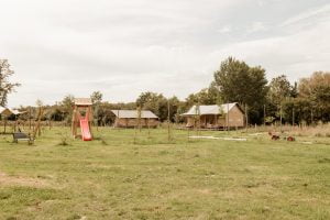 veel ruimte bij Festilux