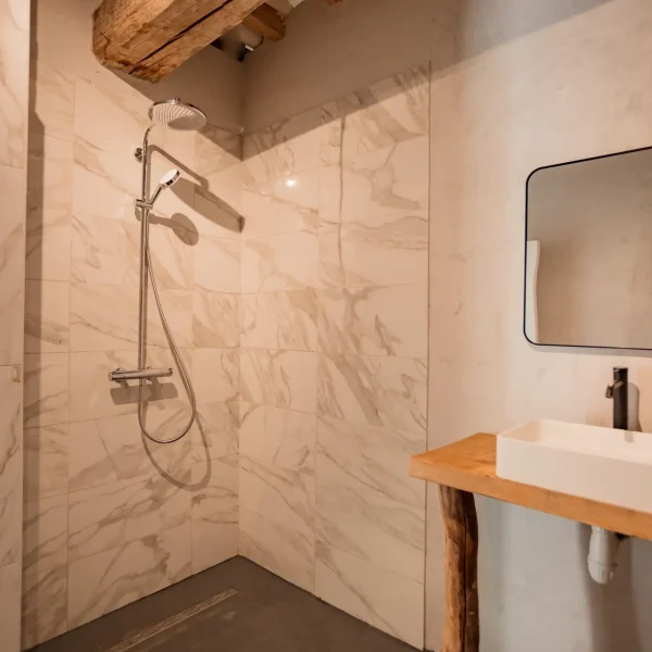douche de luxe dans la salle de bain